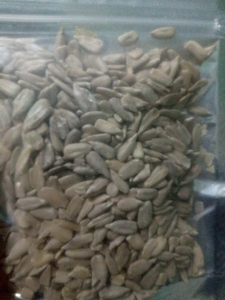Sunflower seed
