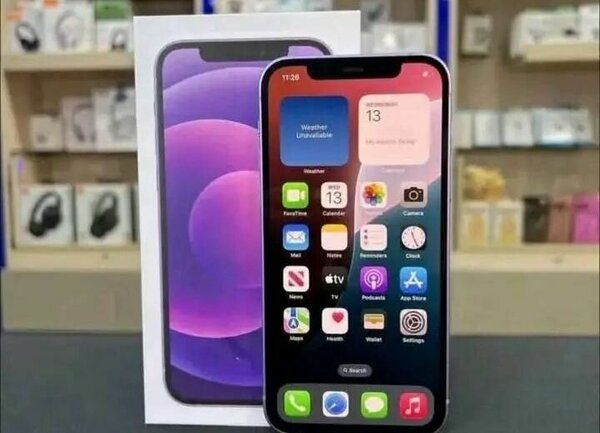 iPhone 12 Pro Max Violet
