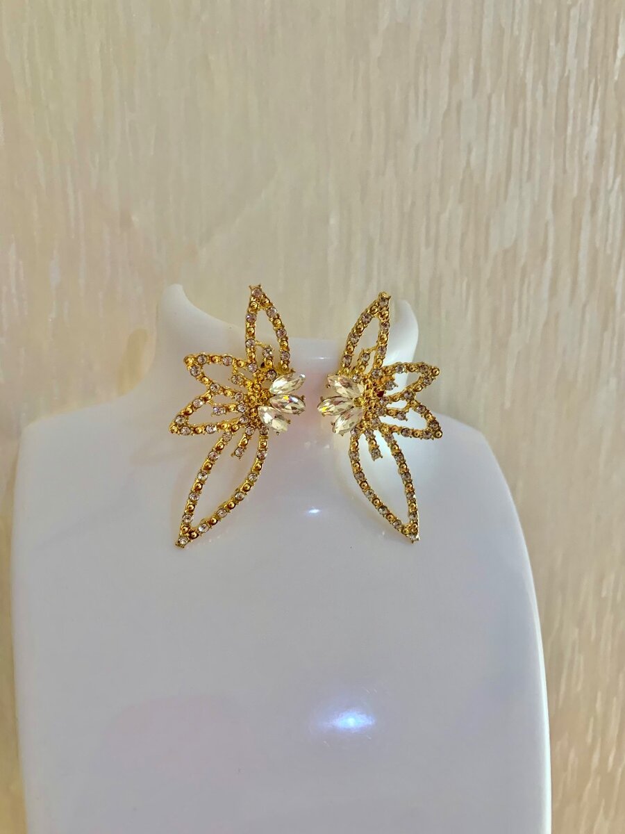 Fashion Earrings
