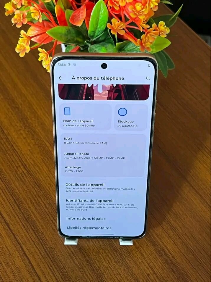 Smartphone Motorola 256Go