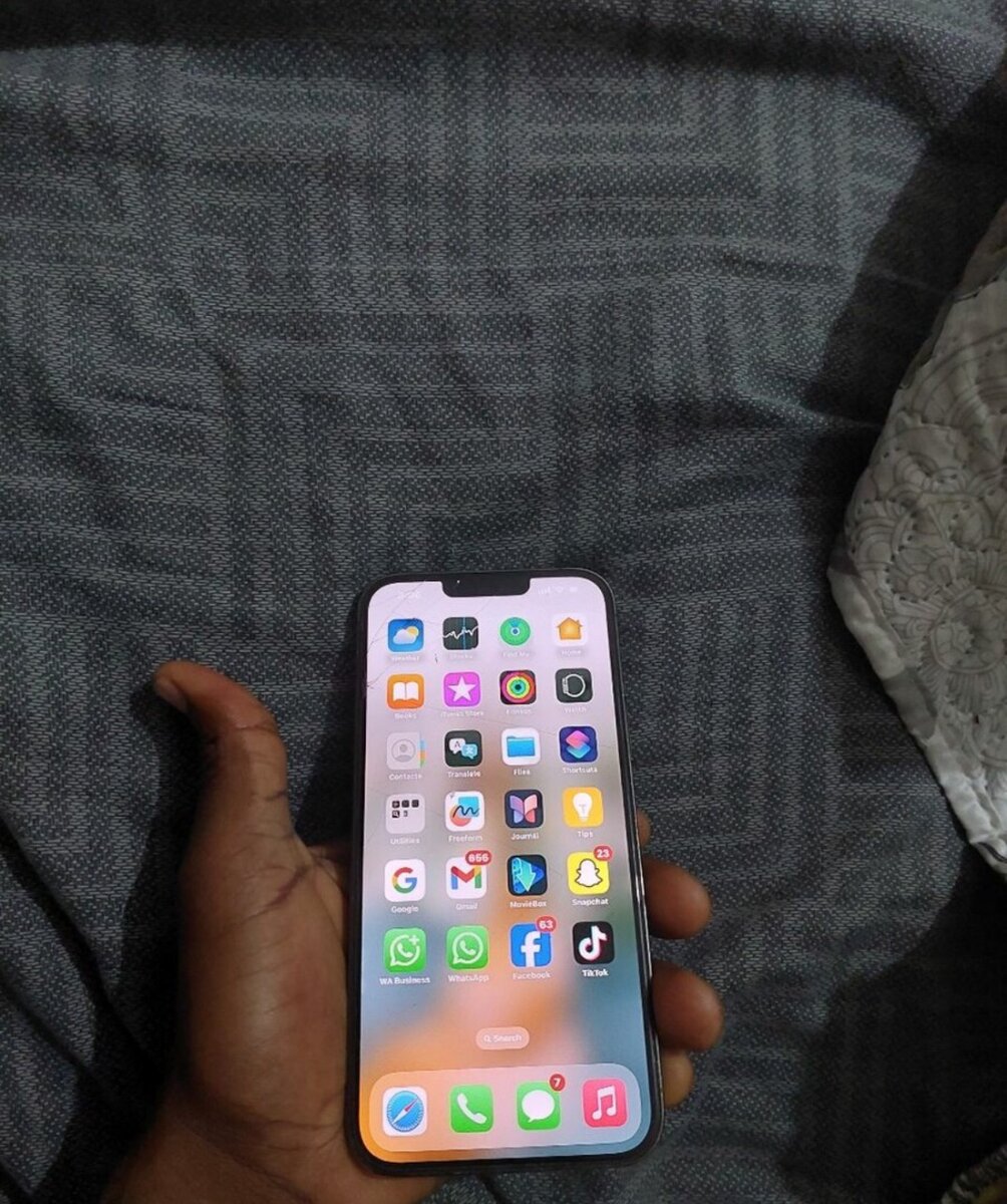 iPhone 13 Pro Max Gris