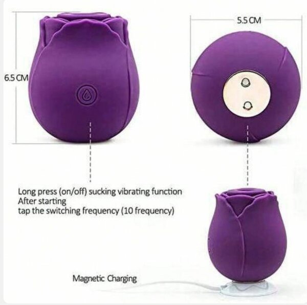 Stimulateur Rose 10 Modes