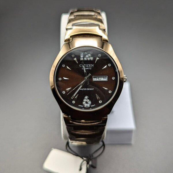 CITIZEN WATCH DAYS AND DATES STAINLESS STEEL