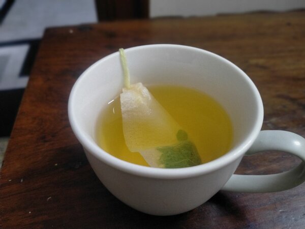 Moringa tea bags (pack of 20)