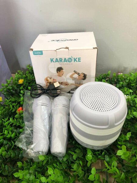 Ensemble Karaoké Bluetooth Portable