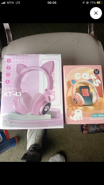 Cat headphone