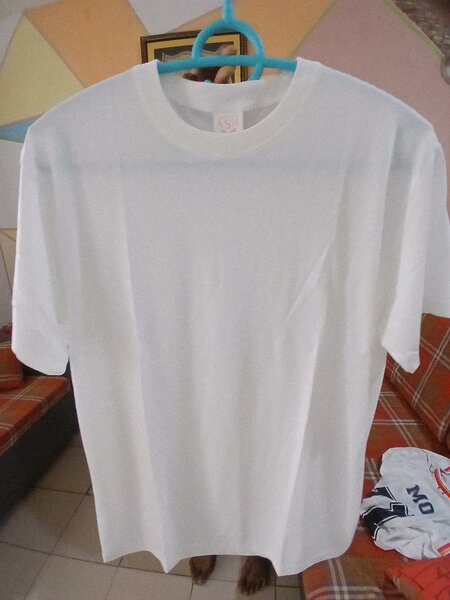 T-shirt blanc classique
