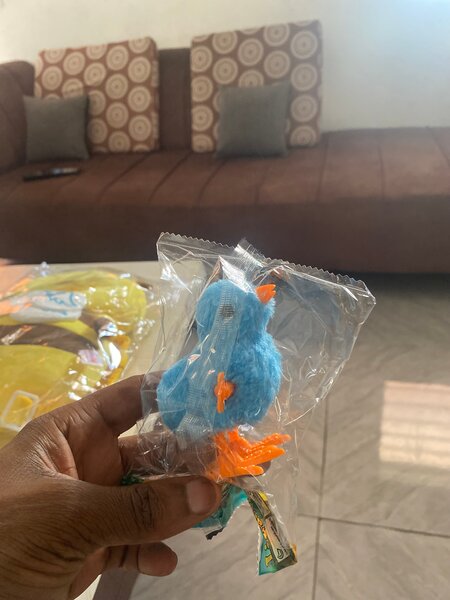 Oiseaux en peluche colorés