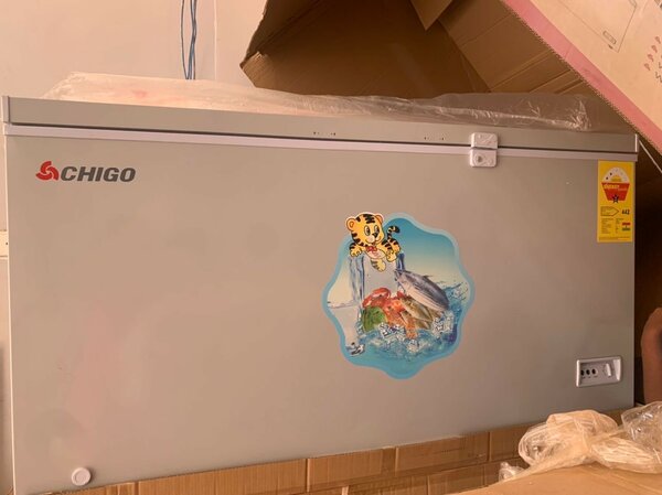 Chigo chest freezer