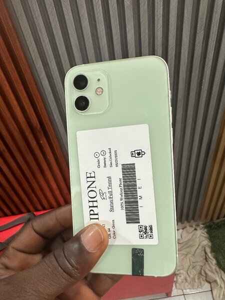 iPhone 12 Bleu et Vert