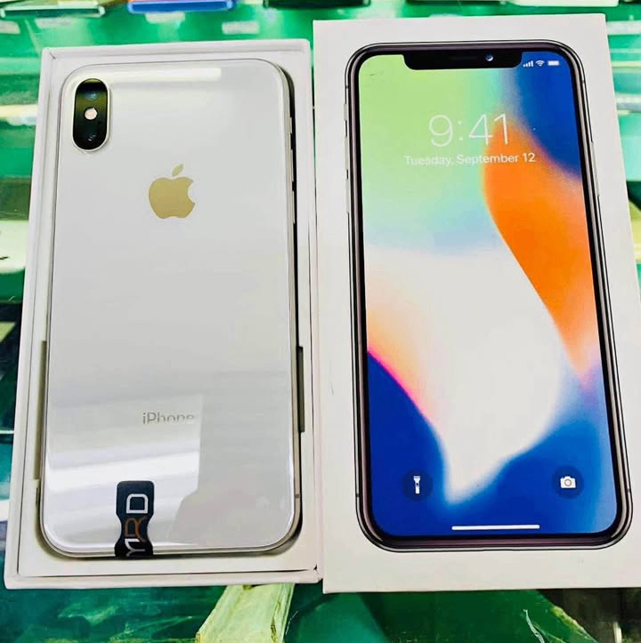 iPhone X