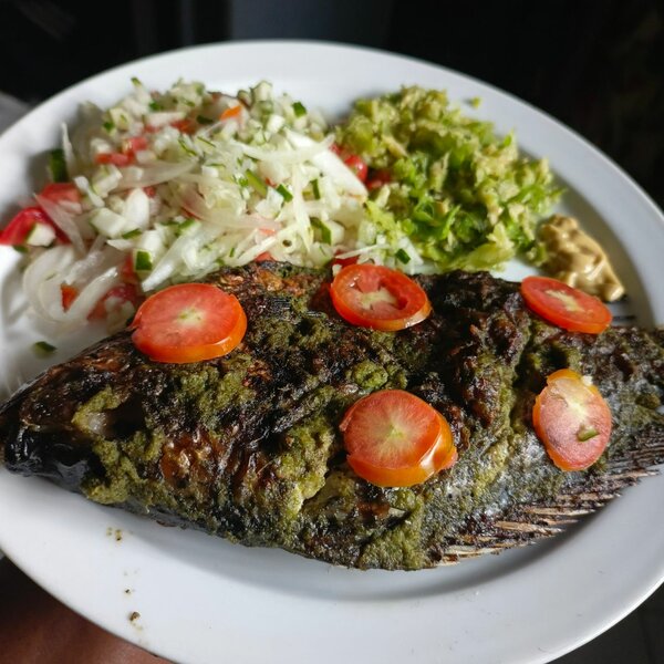 Tilapia grillée aux herbe