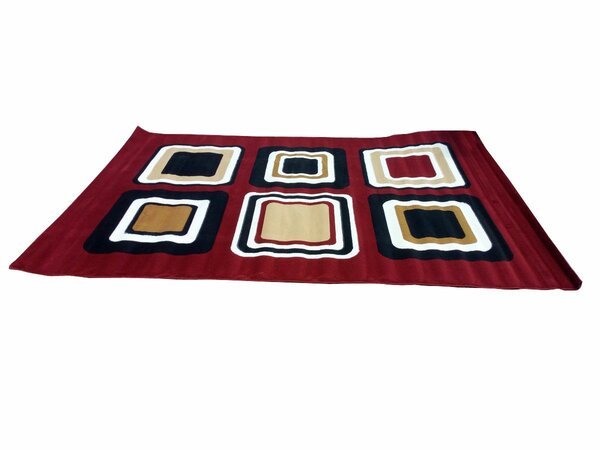 Tapis de Salon