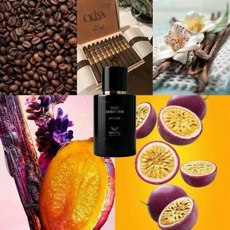 Eau de Parfum Oud Ambrosia