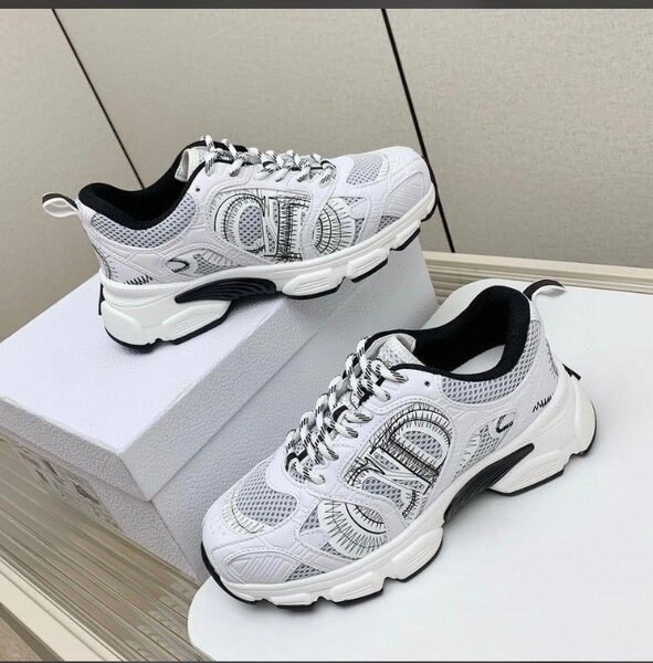 Dior sneaker