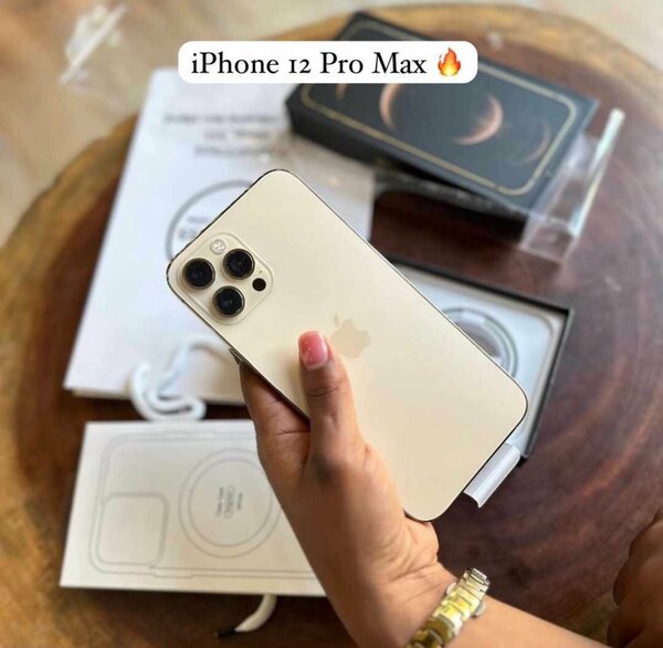 iPhone 12 Pro Max Argent