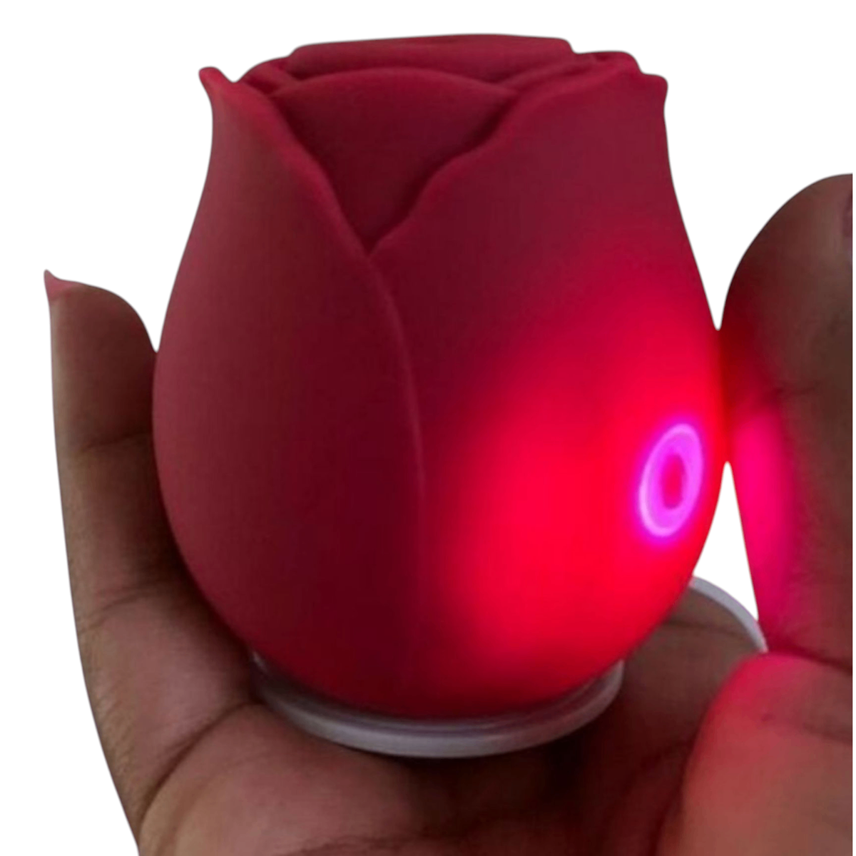 Sextoys Clito et Sein SN22