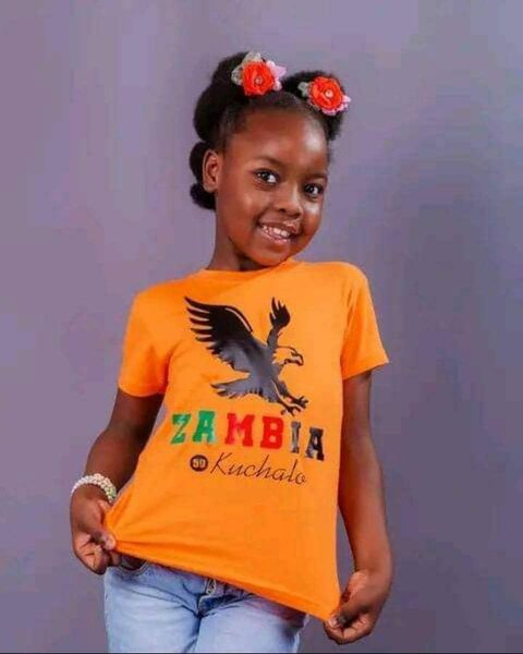 Independence tshirts