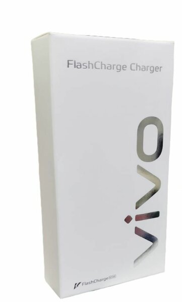 Vivo Original Charger