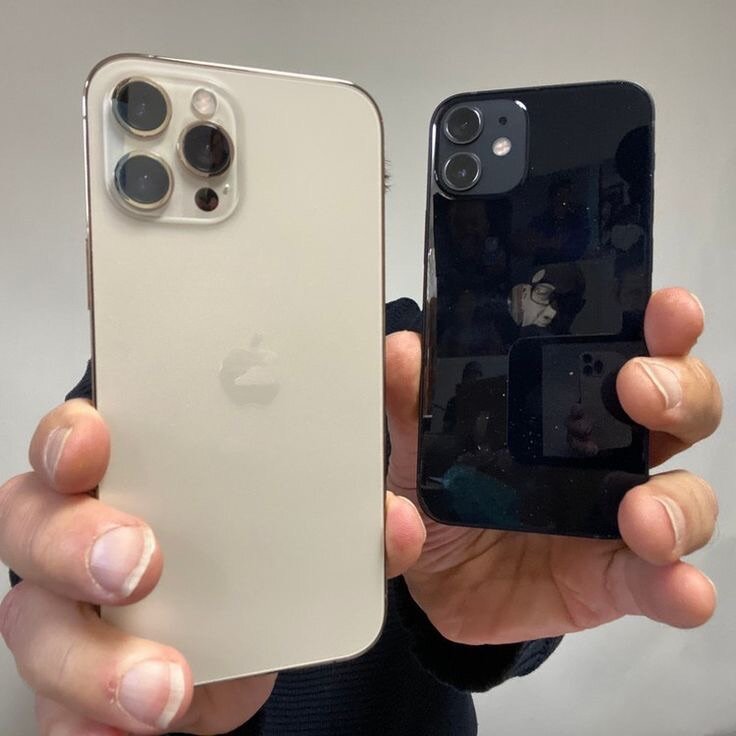 iPhone 12 Pro Max And 12 Mini