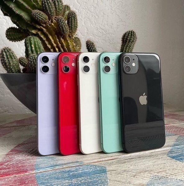 iPhone 11 couleurs variées