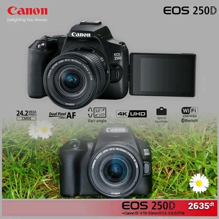 Appareil Photo Reflex Nikon Z6 II