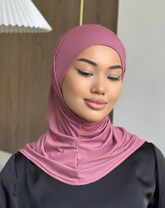 Модель ЗЕЙНА