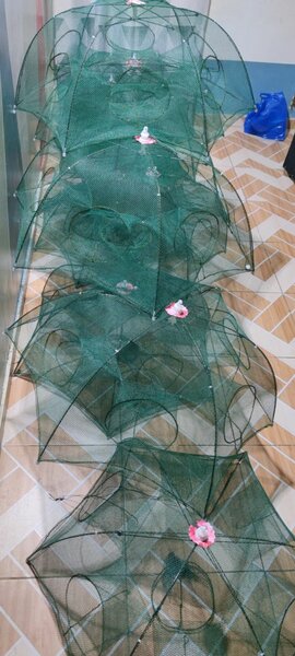 Piège à poissons pliant