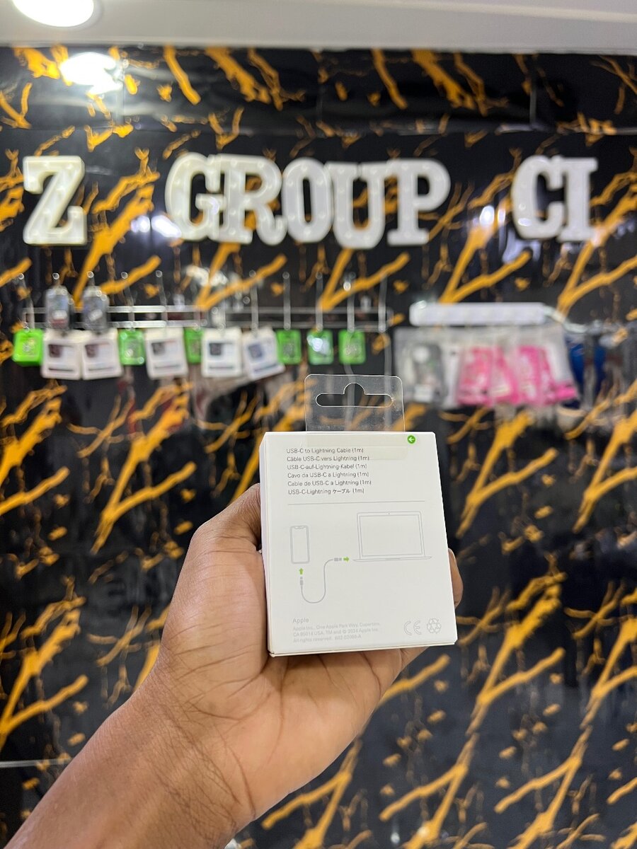 Câble Lightning ( APPLE )