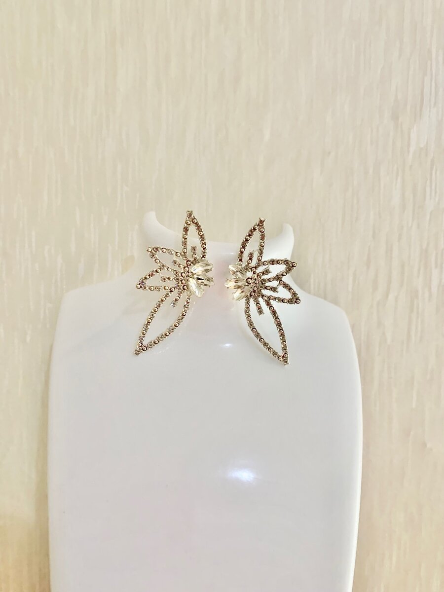Fashion earring