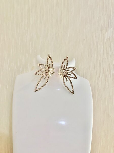 Fashion earring