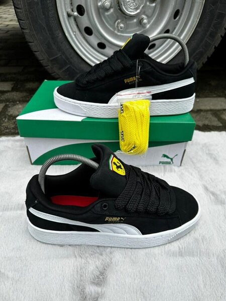 Puma gros lacet