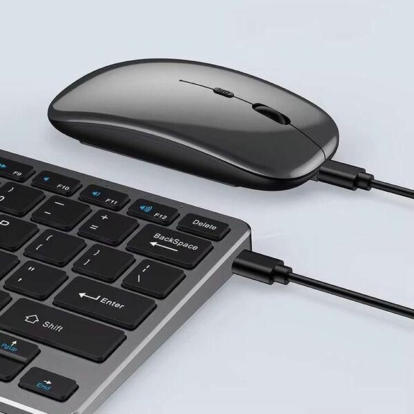 Clavier et souris sans fil élégants