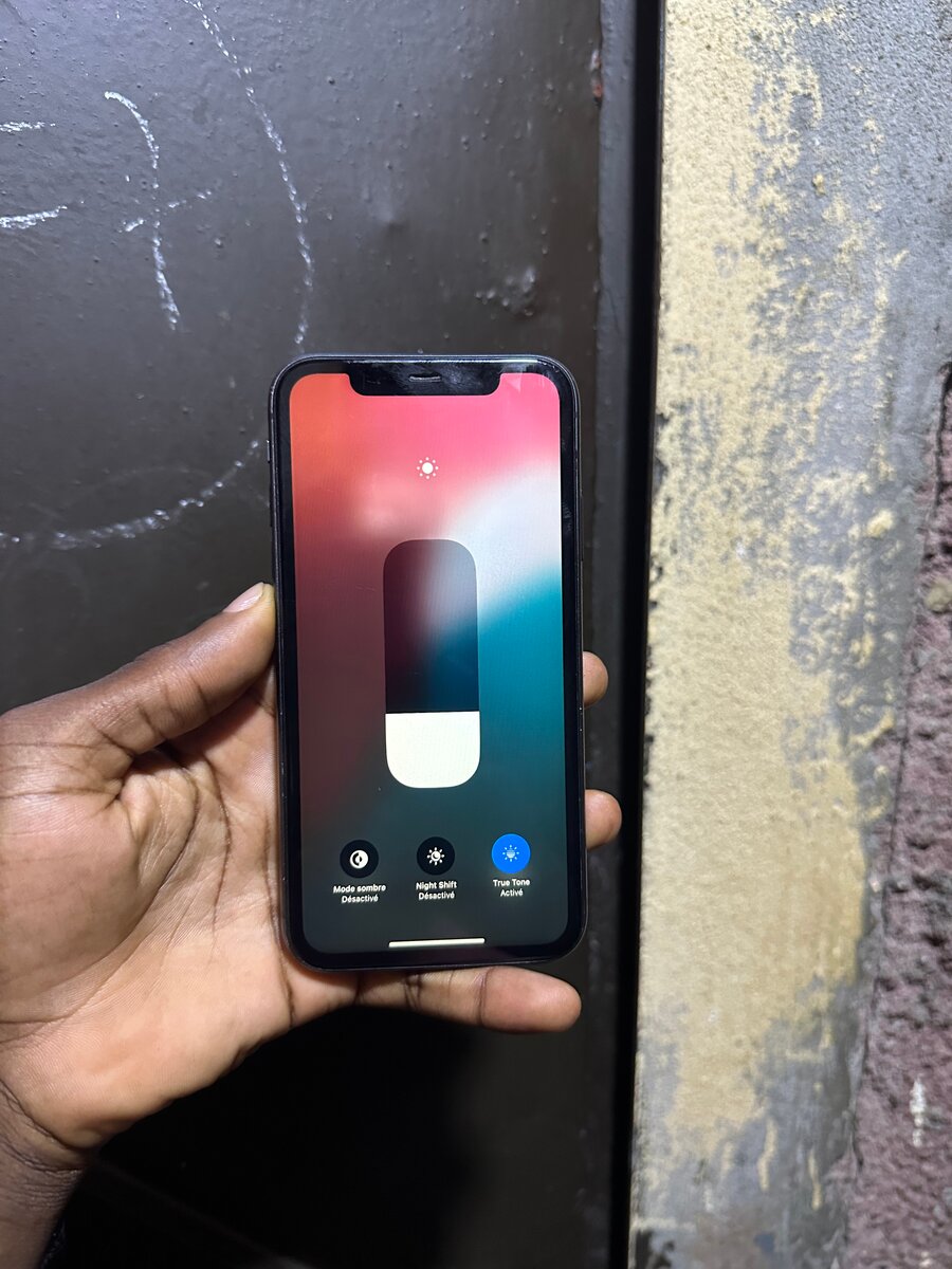 iPhone 11 Dual Lens 64GB