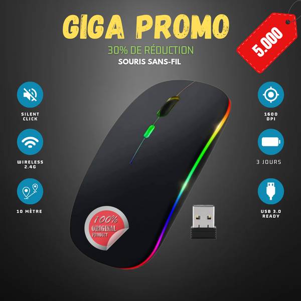 Souris sans fil RGB USB-C