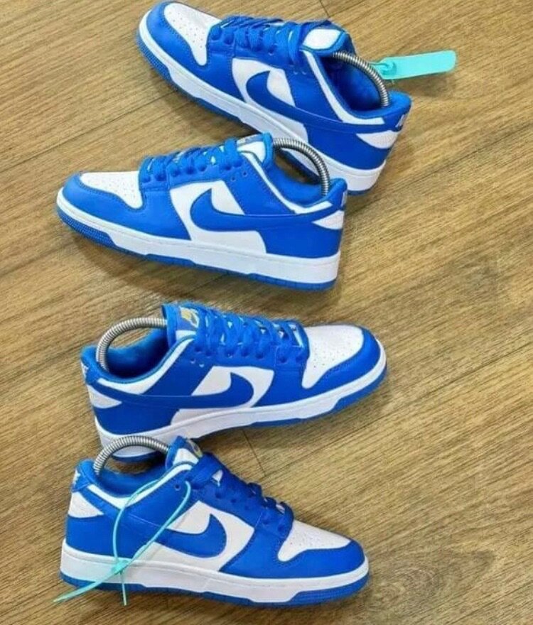 Nike sbs
