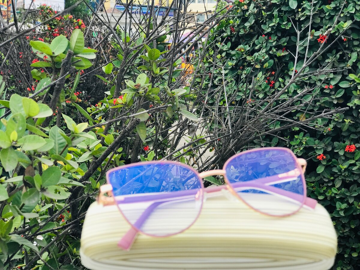 Posigee optical frame