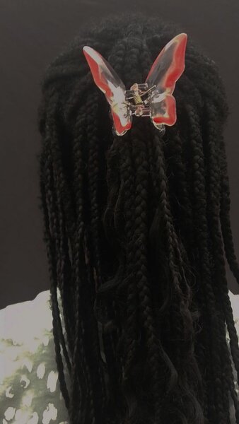 Clip Pince Papillon Colorée