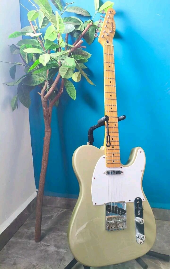 Guitare Électrique Vintage