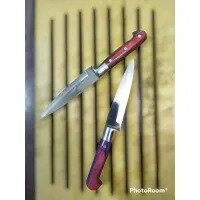 Classic paring knife for fruits and vegetables 5 inches