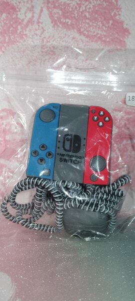 Protège Chargeur Nintendo