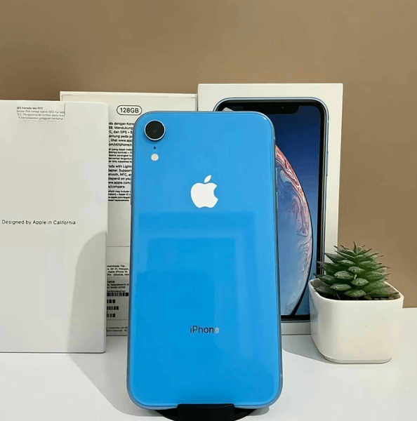 iPhone XR  Bleu