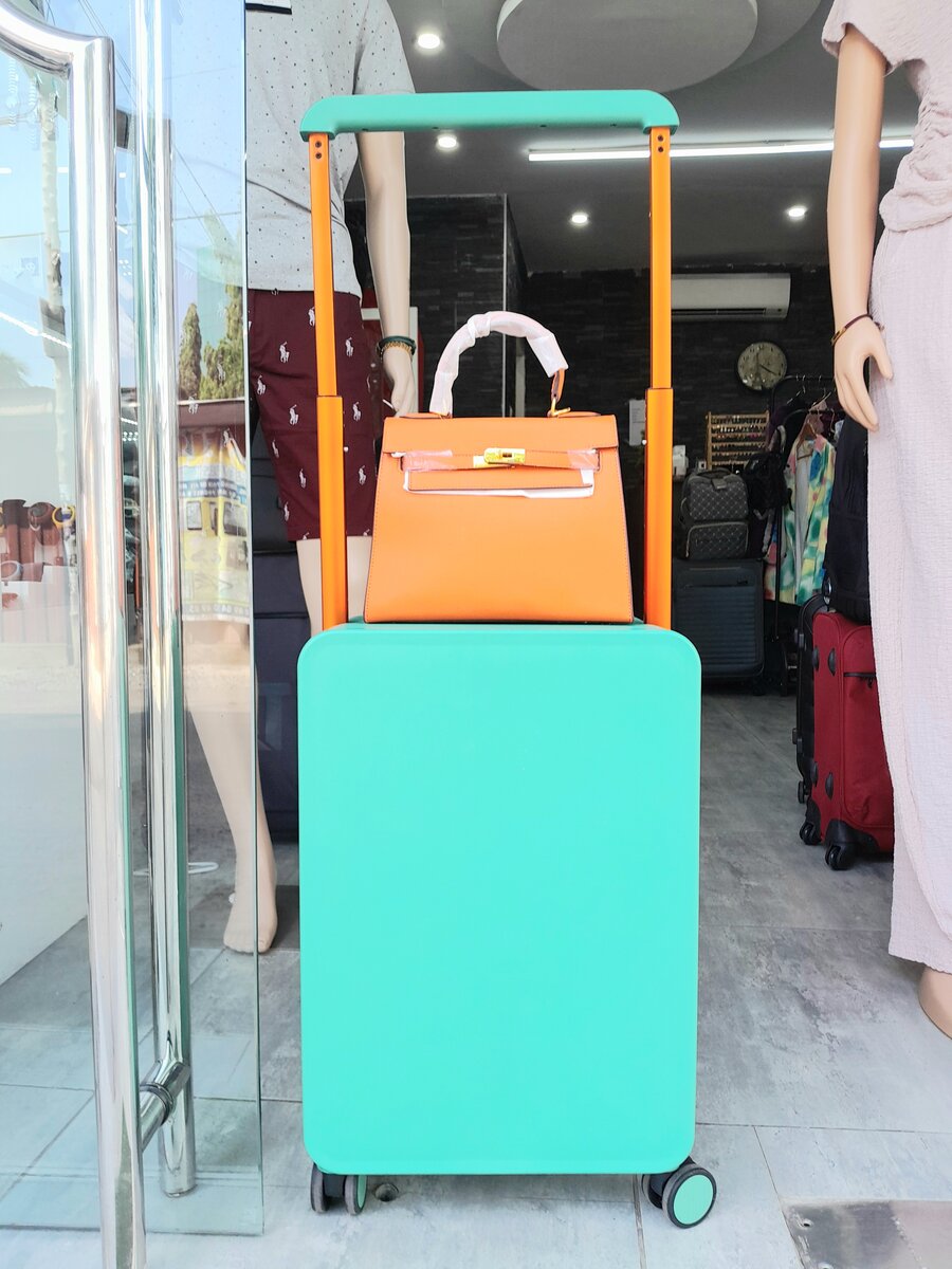 Hand Luggage Bag and Ladies Hermes Bag