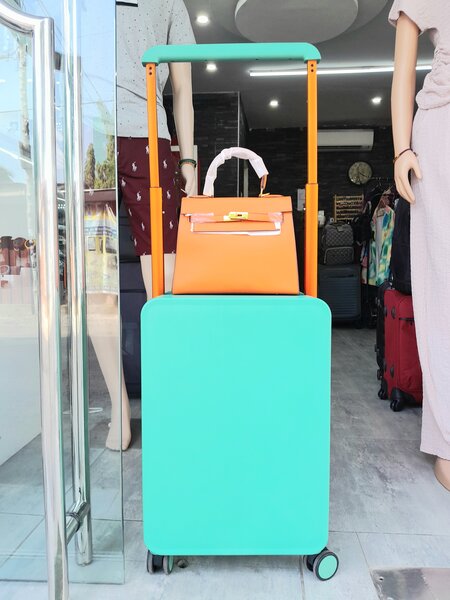 Hand Luggage Bag and Ladies Hermes Bag