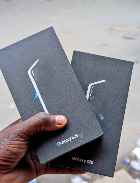 SAMSUNG GALAXY S25 256/12GB