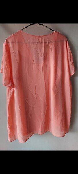 Pink/Peach Blouse + Camisole