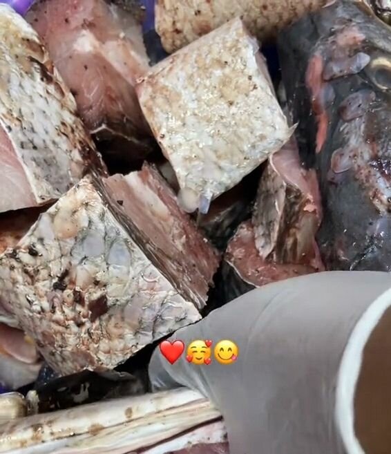 Crabes et poissons frais