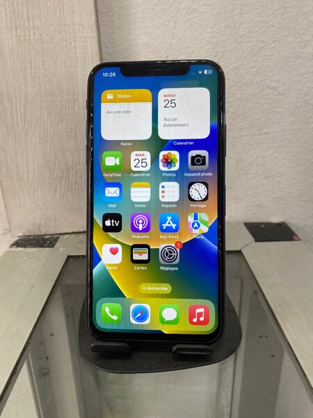iPhone X