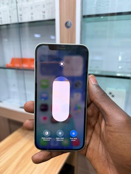 iPhone 12 Vert 64Go Débloqué