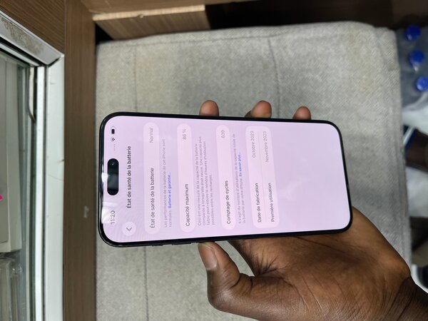 iPhone 15 Pro Max Graphite